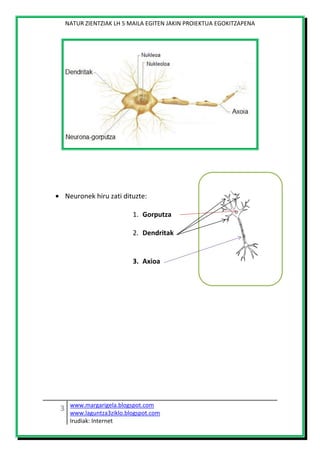 NATUR ZIENTZIAK LH 5 MAILA EGITEN JAKIN PROIEKTUA EGOKITZAPENA
www.margarigela.blogspot.com
www.laguntza3ziklo.blogspot.co...