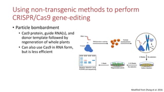 Transgene-free CRISPR/Cas9 genome-editing methods in plants