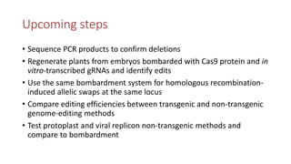 Transgene-free CRISPR/Cas9 genome-editing methods in plants