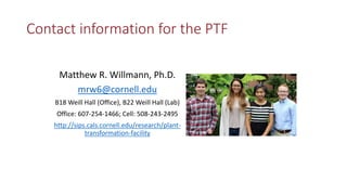 Transgene-free CRISPR/Cas9 genome-editing methods in plants