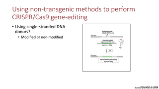 Transgene-free CRISPR/Cas9 genome-editing methods in plants