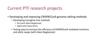 Transgene-free CRISPR/Cas9 genome-editing methods in plants