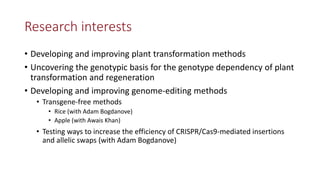 Transgene-free CRISPR/Cas9 genome-editing methods in plants