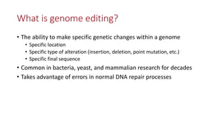 Transgene-free CRISPR/Cas9 genome-editing methods in plants