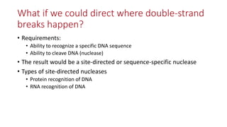 Transgene-free CRISPR/Cas9 genome-editing methods in plants