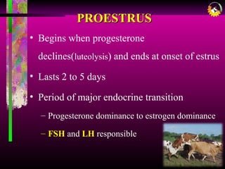 PROESTRUSPROESTRUS
• Begins when progesterone
declines(luteolysis) and ends at onset of estrus
• Lasts 2 to 5 days
• Period of major endocrine transition
– Progesterone dominance to estrogen dominance
– FSH and LH responsible
 