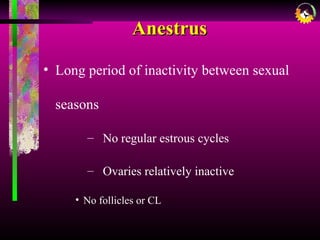 AnestrusAnestrus
• Long period of inactivity between sexual
seasons
– No regular estrous cycles
– Ovaries relatively inactive
• No follicles or CL
 