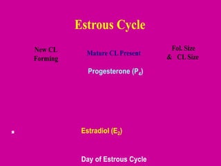 Estrous Cycle
HormoneLevel
Progesterone (P4)
Estradiol (E2)
Day of Estrous Cycle
New CL
Forming
Mature CL Present
Fol. Size
& CL Size
 