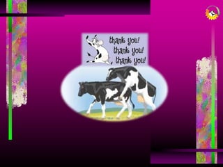 Presentation on ESTROUS CYCLE