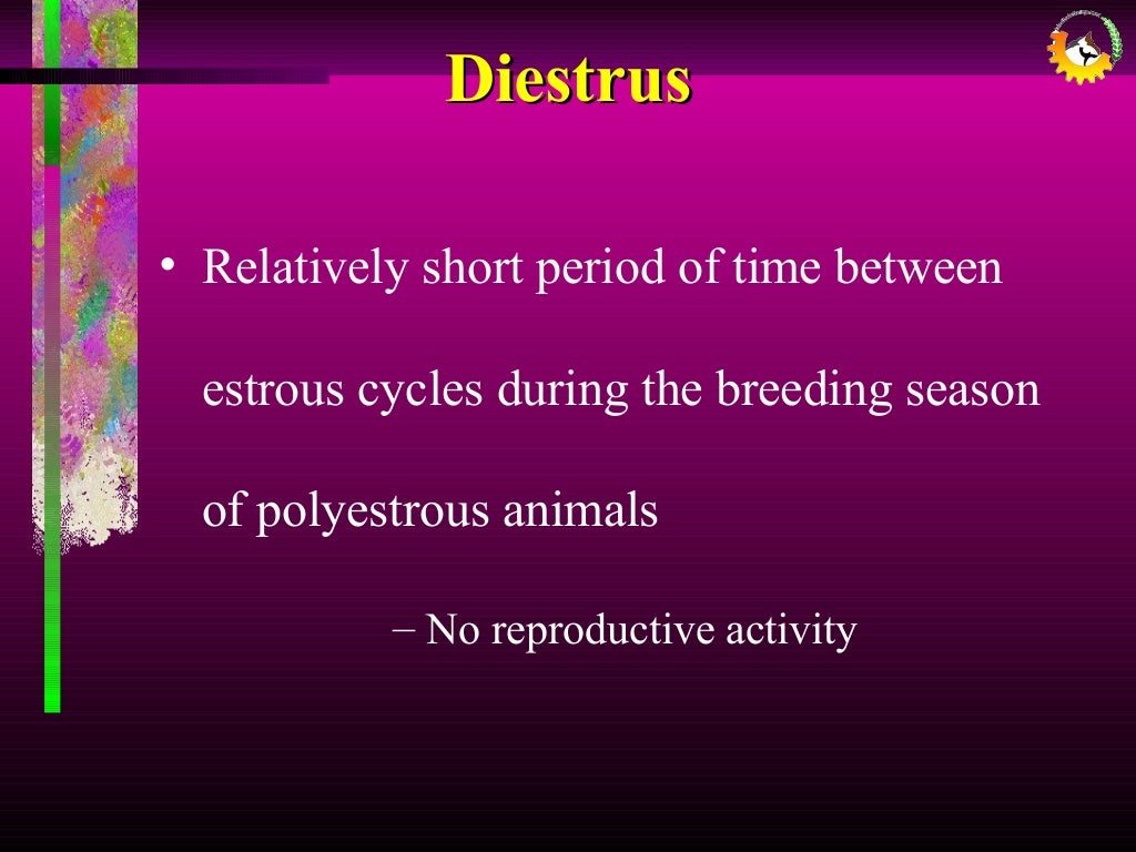 Presentation On ESTROUS CYCLE