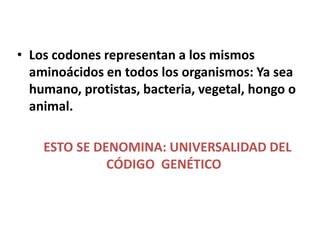 • Los codones representan a los mismos
aminoácidos en todos los organismos: Ya sea
humano, protistas, bacteria, vegetal, hongo o
animal.
ESTO SE DENOMINA: UNIVERSALIDAD DEL
CÓDIGO GENÉTICO
 