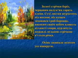 Золоті стрічки беріз,Золоті стрічки беріз,
червонимчервоним полумполум’’ям горятьям горять
клени. Сухі листки шурхотятьклени. Сухі листки шурхотять
під ногами, під кущемпід ногами, під кущем
заховався гриб-боровик,заховався гриб-боровик,
високим синім небом пливутьвисоким синім небом пливуть
пухнасті хмари, курличутьпухнасті хмари, курличуть
журавлі. вузькою стрічкоюжуравлі. вузькою стрічкою
вв’’ється річка.ється річка.
Осінь засипала золотомОсінь засипала золотом
усе навкруги.усе навкруги.
 