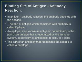 • In antigen - antibody reaction, the antibody attaches with
the antigen.
• The part of antigen which combines with antibody is
called Epitope.
• An epitope, also known as antigenic determinant, is the
part of an antigen that is recognized by the immune
system, specifically by antibodies, B cells, or T cells.
• The part of an antibody that recognizes the epitope is
called a paratope.
 