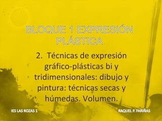 2. Técnicas de expresión
gráfico-plásticas bi y
tridimensionales: dibujo y
pintura: técnicas secas y
húmedas. Volumen.
 