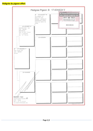 Page 2/2
Pédigrée du pigeon offert
 