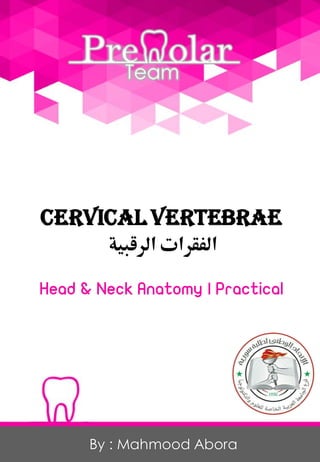 Cervical vertebrae
By : Mahmood Abora
‫الفقرات‬‫الرقبية‬
 