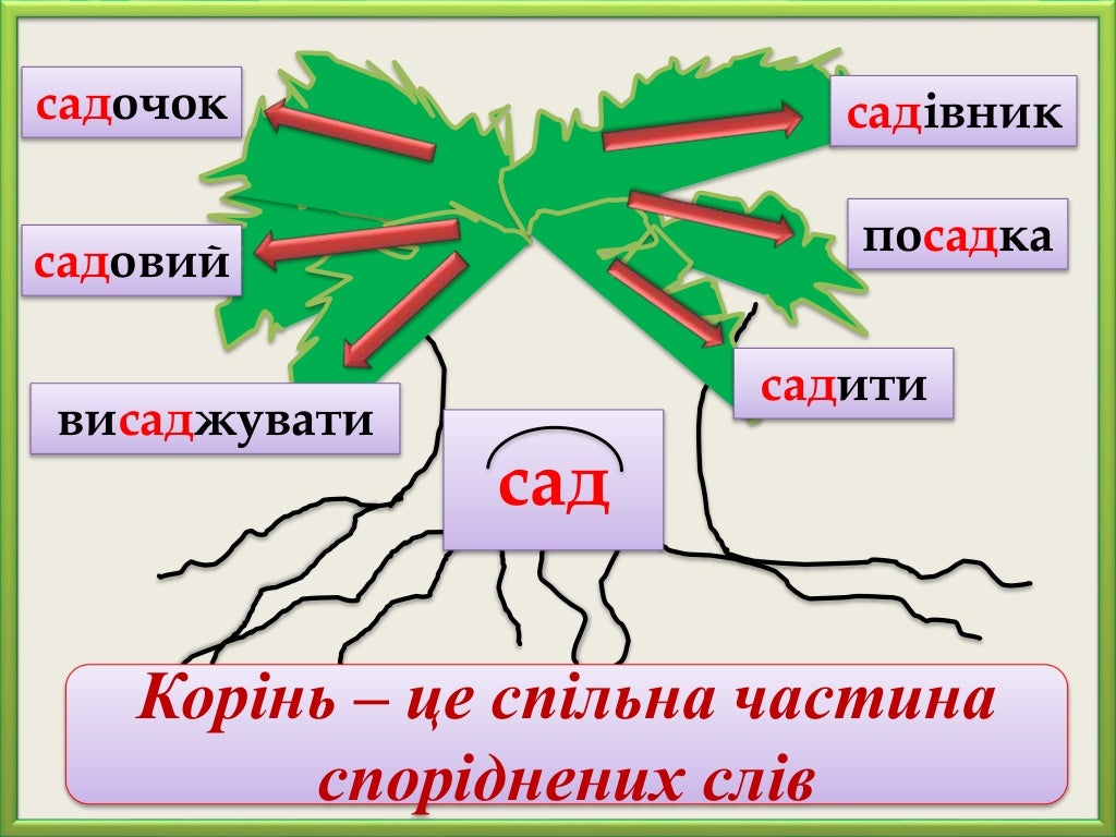 корінь слова 2 клас