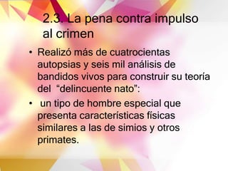 2.3. La pena contra impulso
al crimen
• Realizó más de cuatrocientas
autopsias y seis mil análisis de
bandidos vivos para construir su teoría
del “delincuente nato”:
• un tipo de hombre especial que
presenta características físicas
similares a las de simios y otros
primates.
 