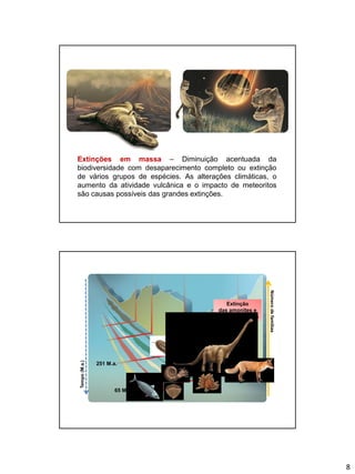 8
Extinções em massa – Diminuição acentuada da
biodiversidade com desaparecimento completo ou extinção
de vários grupos de espécies. As alterações climáticas, o
aumento da atividade vulcânica e o impacto de meteoritos
são causas possíveis das grandes extinções.
Númerodefamílias
Tempo(M.a.)
251 M.a.
65 M.a.
Extinção
das
tribolites
Extinção
das
tribolites
Extinção
das amonites e
dos dinossauros
Extinção
das amonites e
dos dinossauros
 