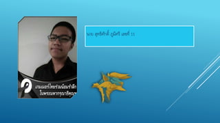 นาย สุทธิศักดิ์ ภูมิศรี เลขที่ 11
 