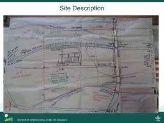 Regional policies and practices on fire and haze: A case study in West Kalimantan 