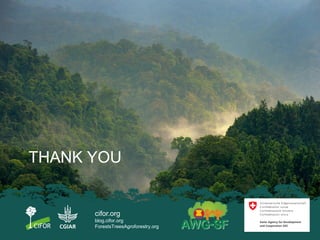 Regional policies and practices on fire and haze: A case study in West Kalimantan 