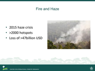 Regional policies and practices on fire and haze: A case study in West Kalimantan 