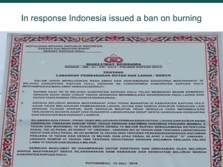 Regional policies and practices on fire and haze: A case study in West Kalimantan 