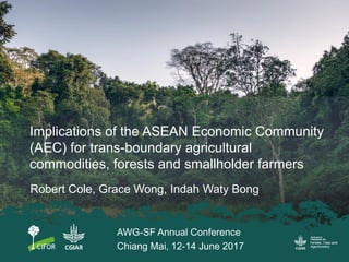 Implications of the ASEAN Economic Community
(AEC) for trans-boundary agricultural
commodities, forests and smallholder farmers
Robert Cole, Grace Wong, Indah Waty Bong
AWG-SF Annual Conference
Chiang Mai, 12-14 June 2017
 