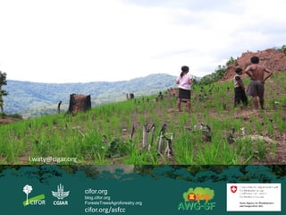 Implications of the ASEAN Economic Community (AEC) for trans-boundary agricultural commodities, forests and smallholder farmers