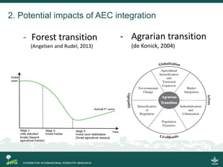 Implications of the ASEAN Economic Community (AEC) for trans-boundary agricultural commodities, forests and smallholder farmers