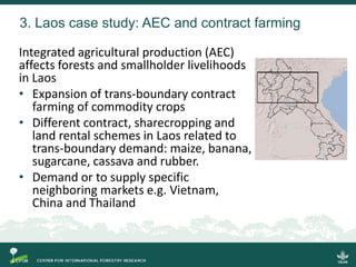 Implications of the ASEAN Economic Community (AEC) for trans-boundary agricultural commodities, forests and smallholder farmers