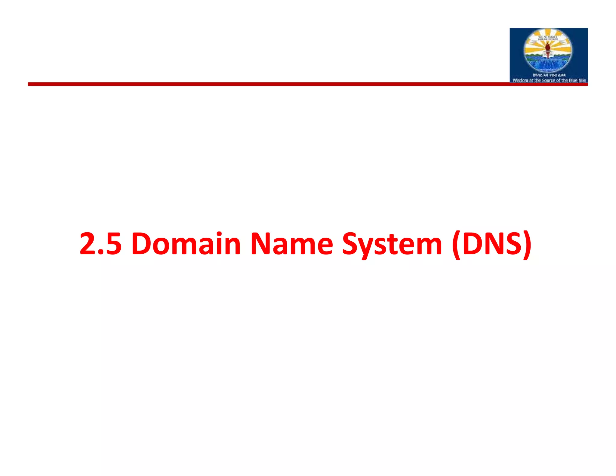 2.5 Domain Name System (DNS)
 