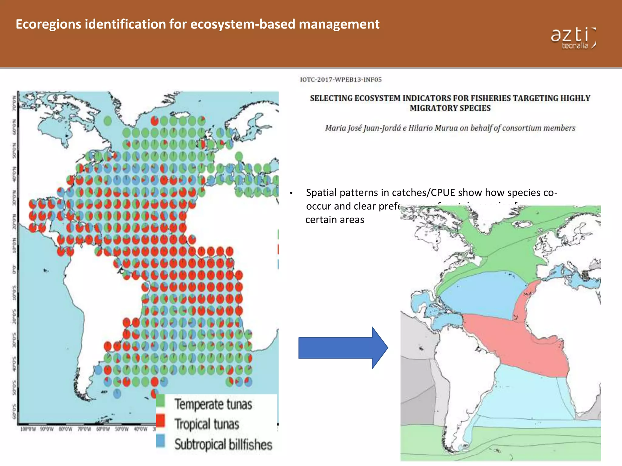 Ecoregions identification for ecosystem-based management
• Spatial patterns in catches/CPUE show how species co-
occur and clear preference of certain species for
certain areas
 