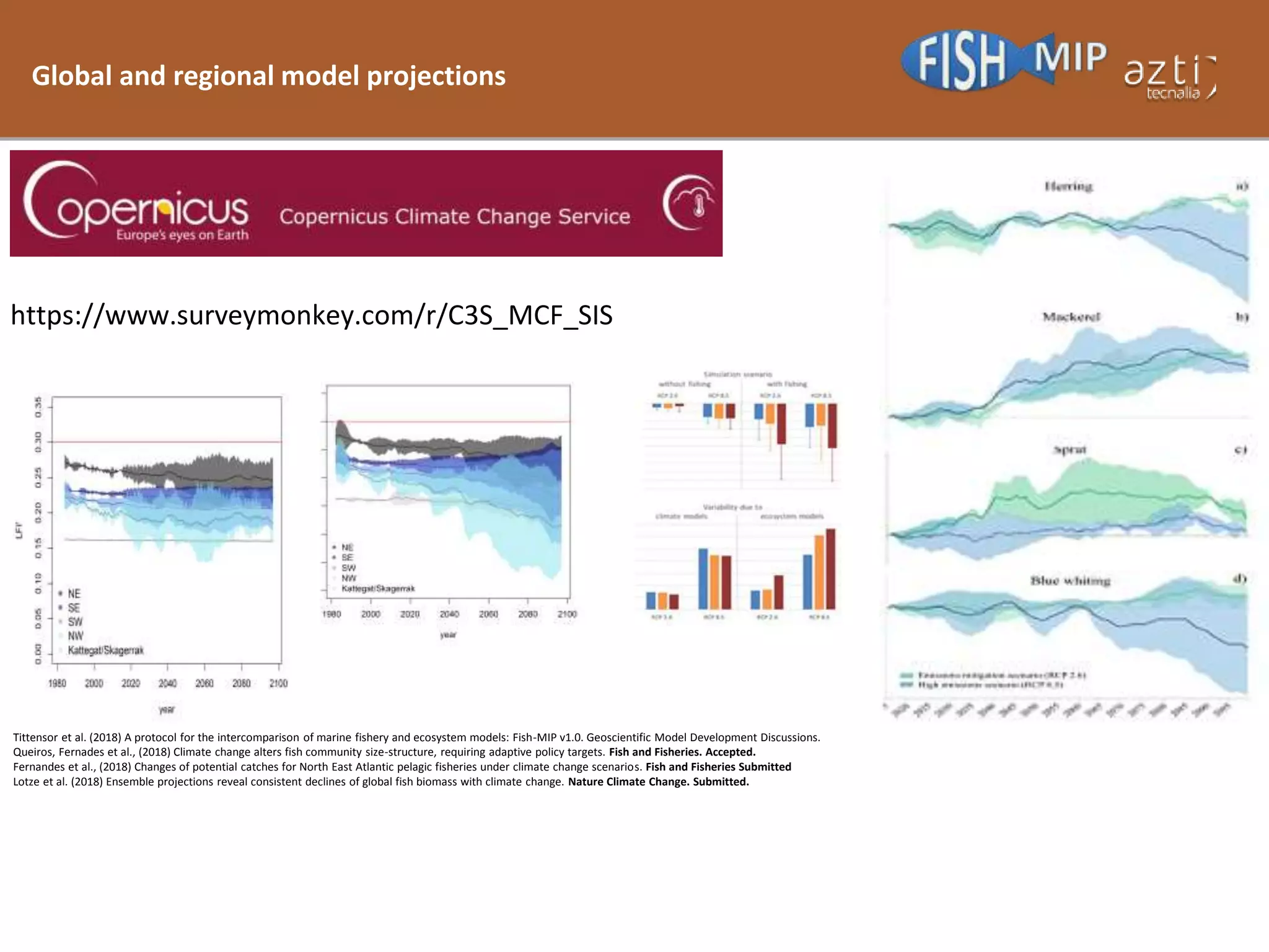 Global and regional model projections
Tittensor et al. (2018) A protocol for the intercomparison of marine fishery and ecosystem models: Fish-MIP v1.0. Geoscientific Model Development Discussions.
Queiros, Fernades et al., (2018) Climate change alters fish community size-structure, requiring adaptive policy targets. Fish and Fisheries. Accepted.
Fernandes et al., (2018) Changes of potential catches for North East Atlantic pelagic fisheries under climate change scenarios. Fish and Fisheries Submitted
Lotze et al. (2018) Ensemble projections reveal consistent declines of global fish biomass with climate change. Nature Climate Change. Submitted.
https://www.surveymonkey.com/r/C3S_MCF_SIS
 