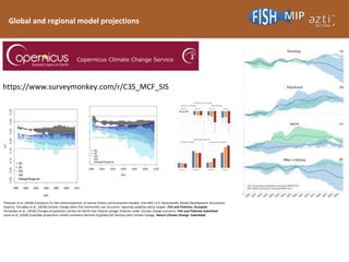 Global and regional model projections
Tittensor et al. (2018) A protocol for the intercomparison of marine fishery and eco...