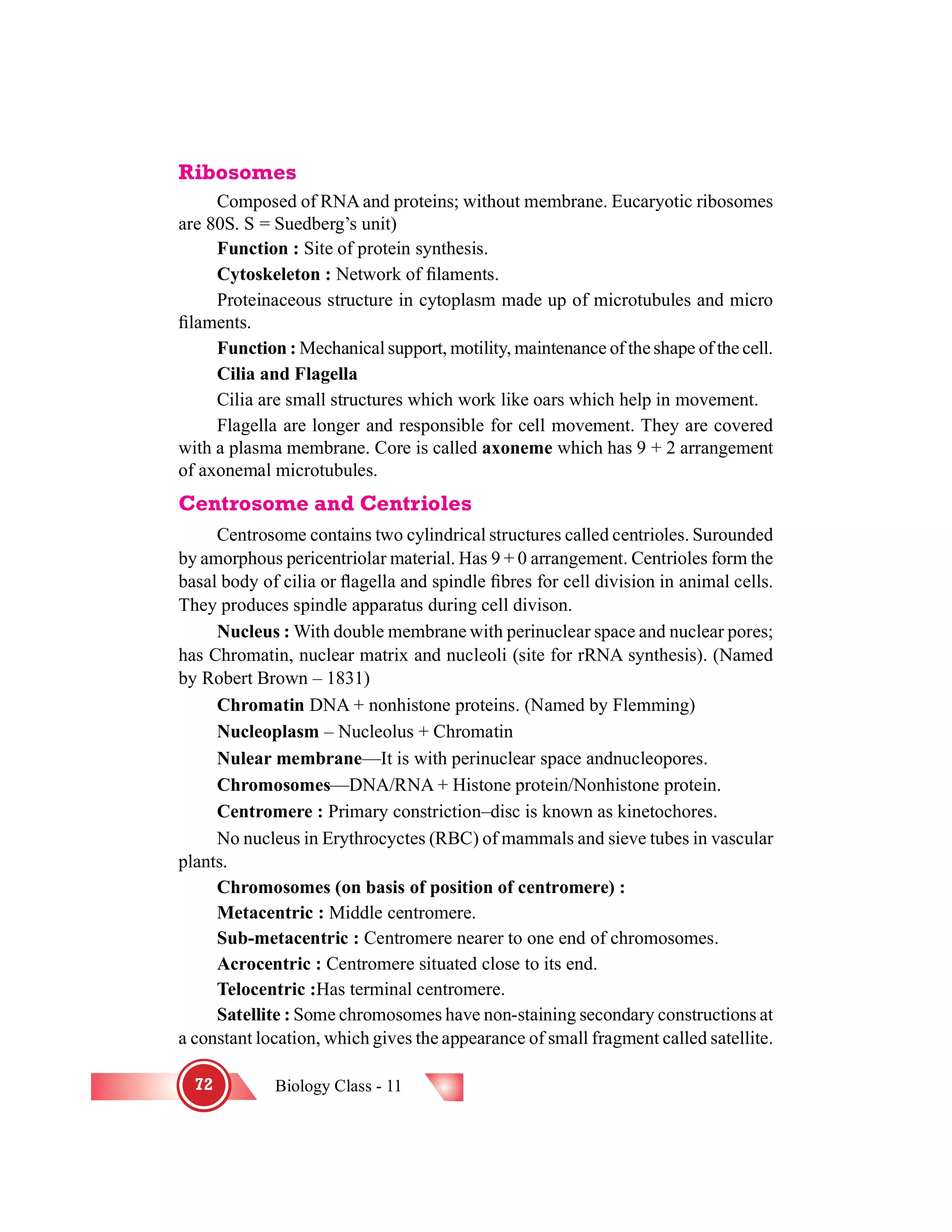 Biology Class - 1172
Ribosomes
Composed of RNA and proteins; without membrane. Eucaryotic ribosomes
are 80S. S = Suedberg’s unit)
Function : Site of protein synthesis.
Cytoskeleton : Network of ®laments.
Proteinaceous structure in cytoplasm made up of microtubules and micro
®laments.
Function : Mechanical support, motility, maintenance of the shape of the cell.
Cilia and Flagella
Cilia are small structures which work like oars which help in movement.
Flagella are longer and responsible for cell movement. They are covered
with a plasma membrane. Core is called axoneme which has 9 + 2 arrangement
of axonemal microtubules.
Centrosome and Centrioles
Centrosome contains two cylindrical structures called centrioles. Surounded
by amorphous pericentriolar material. Has 9 + 0 arrangement. Centrioles form the
basal body of cilia or ¯agella and spindle ®bres for cell division in animal cells.
They produces spindle apparatus during cell divison.
Nucleus : With double membrane with perinuclear space and nuclear pores;
has Chromatin, nuclear matrix and nucleoli (site for rRNA synthesis). (Named
by Robert Brown – 1831)
Chromatin DNA + nonhistone proteins. (Named by Flemming)
Nucleoplasm – Nucleolus + Chromatin
Nulear membrane—It is with perinuclear space andnucleopores.
Chromosomes—DNA/RNA + Histone protein/Nonhistone protein.
Centromere : Primary constriction–disc is known as kinetochores.
No nucleus in Erythrocyctes (RBC) of mammals and sieve tubes in vascular
plants.
Chromosomes (on basis of position of centromere) :
Metacentric : Middle centromere.
Sub-metacentric : Centromere nearer to one end of chromosomes.
Acrocentric : Centromere situated close to its end.
Telocentric :Has terminal centromere.
Satellite : Some chromosomes have non-staining secondary constructions at
a constant location, which gives the appearance of small fragment called satellite.
 