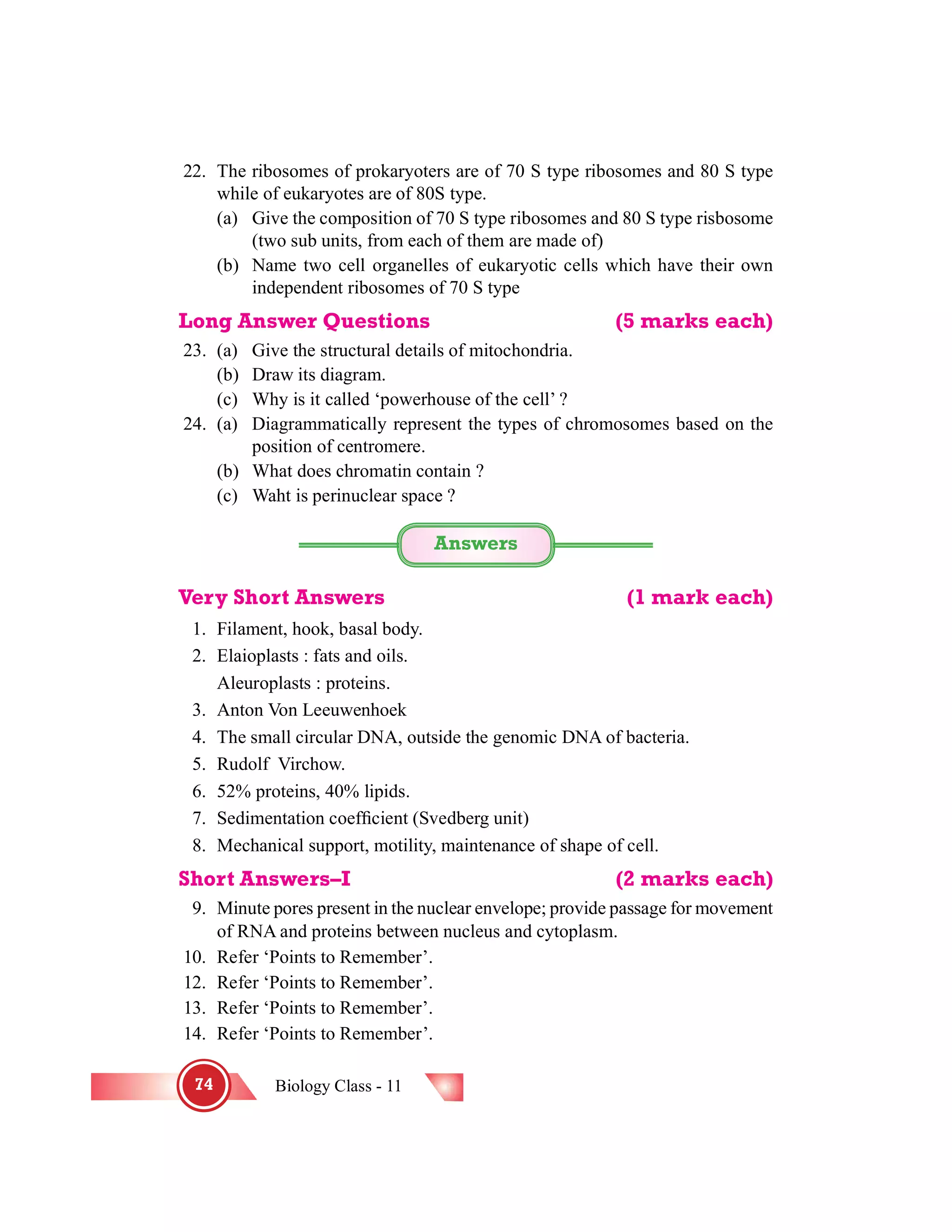 Biology Class - 1174
22. The ribosomes of prokaryoters are of 70 S type ribosomes and 80 S type
while of eukaryotes are of 80S type.
(a) Give the composition of 70 S type ribosomes and 80 S type risbosome
(two sub units, from each of them are made of)
(b) Name two cell organelles of eukaryotic cells which have their own
independent ribosomes of 70 S type
Long Answer Questions (5 marks each)
23. (a) Give the structural details of mitochondria.
(b) Draw its diagram.
(c) Why is it called ‘powerhouse of the cell’ ?
24. (a) Diagrammatically represent the types of chromosomes based on the
position of centromere.
(b) What does chromatin contain ?
(c) Waht is perinuclear space ?
Answers
Very Short Answers (1 mark each)
1. Filament, hook, basal body.
2. Elaioplasts : fats and oils.
Aleuroplasts : proteins.
3. Anton Von Leeuwenhoek
4. The small circular DNA, outside the genomic DNA of bacteria.
5. Rudolf Virchow.
6. 52% proteins, 40% lipids.
7. Sedimentation coef®cient (Svedberg unit)
8. Mechanical support, motility, maintenance of shape of cell.
Short Answers–I (2 marks each)
9. Minute pores present in the nuclear envelope; provide passage for movement
of RNA and proteins between nucleus and cytoplasm.
10. Refer ‘Points to Remember’.
12. Refer ‘Points to Remember’.
13. Refer ‘Points to Remember’.
14. Refer ‘Points to Remember’.
 