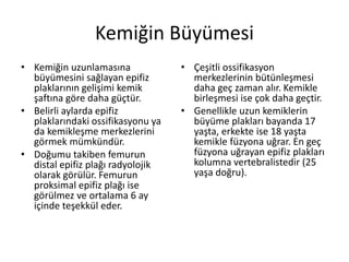 Kemiğin Büyümesi
• Kemiğin uzunlamasına
büyümesini sağlayan epifiz
plaklarının gelişimi kemik
şaftına göre daha güçtür.
• Belirli aylarda epifiz
plaklarındaki ossifikasyonu ya
da kemikleşme merkezlerini
görmek mümkündür.
• Doğumu takiben femurun
distal epifiz plağı radyolojik
olarak görülür. Femurun
proksimal epifiz plağı ise
görülmez ve ortalama 6 ay
içinde teşekkül eder.
• Çeşitli ossifikasyon
merkezlerinin bütünleşmesi
daha geç zaman alır. Kemikle
birleşmesi ise çok daha geçtir.
• Genellikle uzun kemiklerin
büyüme plakları bayanda 17
yaşta, erkekte ise 18 yaşta
kemikle füzyona uğrar. En geç
füzyona uğrayan epifiz plakları
kolumna vertebralistedir (25
yaşa doğru).
 