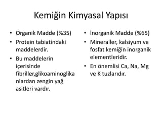 Kemiğin Kimyasal Yapısı
• Organik Madde (%35)
• Protein tabiatindaki
maddelerdir.
• Bu maddelerin
içerisinde
fibriller,glikoaminoglika
nlardan zengin yağ
asitleri vardır.
• İnorganik Madde (%65)
• Mineraller, kalsiyum ve
fosfat kemiğin inorganik
elementleridir.
• En önemlisi Ca, Na, Mg
ve K tuzlarıdır.
 