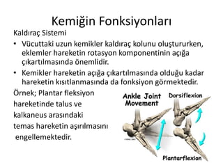 Kemiğin Fonksiyonları
Kaldıraç Sistemi
• Vücuttaki uzun kemikler kaldıraç kolunu oluştururken,
eklemler hareketin rotasyon komponentinin açığa
çıkartılmasında önemlidir.
• Kemikler hareketin açığa çıkartılmasında olduğu kadar
hareketin kısıtlanmasında da fonksiyon görmektedir.
Örnek; Plantar fleksiyon
hareketinde talus ve
kalkaneus arasındaki
temas hareketin aşırılmasını
engellemektedir.
 