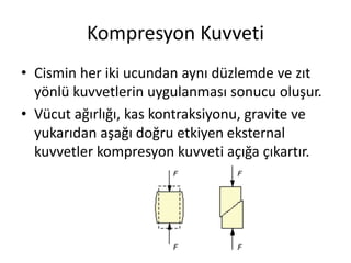 Kompresyon Kuvveti
• Cismin her iki ucundan aynı düzlemde ve zıt
yönlü kuvvetlerin uygulanması sonucu oluşur.
• Vücut ağırlığı, kas kontraksiyonu, gravite ve
yukarıdan aşağı doğru etkiyen eksternal
kuvvetler kompresyon kuvveti açığa çıkartır.
 