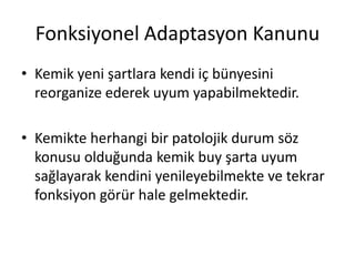 Fonksiyonel Adaptasyon Kanunu
• Kemik yeni şartlara kendi iç bünyesini
reorganize ederek uyum yapabilmektedir.
• Kemikte herhangi bir patolojik durum söz
konusu olduğunda kemik buy şarta uyum
sağlayarak kendini yenileyebilmekte ve tekrar
fonksiyon görür hale gelmektedir.
 
