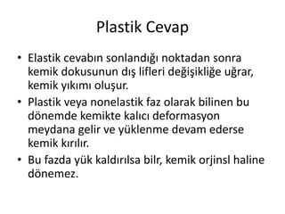 Plastik Cevap
• Elastik cevabın sonlandığı noktadan sonra
kemik dokusunun dış lifleri değişikliğe uğrar,
kemik yıkımı oluşur.
• Plastik veya nonelastik faz olarak bilinen bu
dönemde kemikte kalıcı deformasyon
meydana gelir ve yüklenme devam ederse
kemik kırılır.
• Bu fazda yük kaldırılsa bilr, kemik orjinsl haline
dönemez.
 