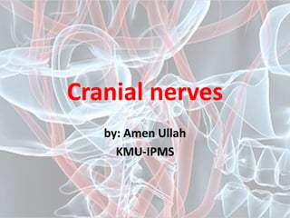 Cranial nerves
by: Amen Ullah
KMU-IPMS
 