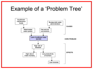 Example of a ‘Problem Tree’
 