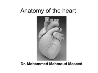 Anatomy of the heart
Dr. Mohammed Mahmoud Mosaed
 