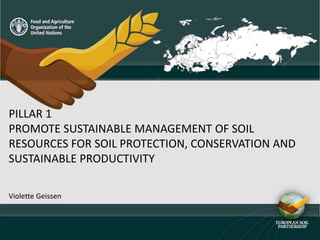 PILLAR 1
PROMOTE SUSTAINABLE MANAGEMENT OF SOIL
RESOURCES FOR SOIL PROTECTION, CONSERVATION AND
SUSTAINABLE PRODUCTIVITY
Violette Geissen
 