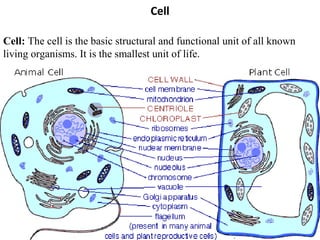 Cell
Cell: The cell is the basic structural and functional unit of all known
living organisms. It is the smallest unit of life.
 