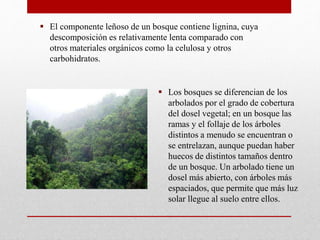  Los bosques se diferencian de los
arbolados por el grado de cobertura
del dosel vegetal; en un bosque las
ramas y el follaje de los árboles
distintos a menudo se encuentran o
se entrelazan, aunque puedan haber
huecos de distintos tamaños dentro
de un bosque. Un arbolado tiene un
dosel más abierto, con árboles más
espaciados, que permite que más luz
solar llegue al suelo entre ellos.
 El componente leñoso de un bosque contiene lignina, cuya
descomposición es relativamente lenta comparado con
otros materiales orgánicos como la celulosa y otros
carbohidratos.
 